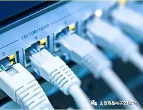 山商交易云數(shù)據(jù)中心 引領(lǐng)數(shù)字化未來(lái)的網(wǎng)頁(yè)與網(wǎng)站設(shè)計(jì)